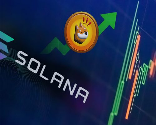 Solana Emerges as a Leader: Hosting Over Half of New Token Launches